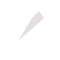 威海临时保镖服务